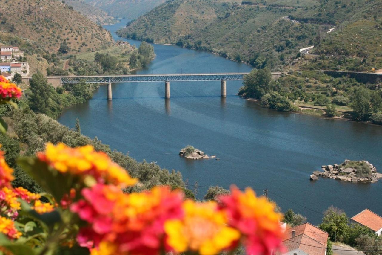 Quinta Do Belo-Ver Turismo De Habitacao Belver  Kültér fotó